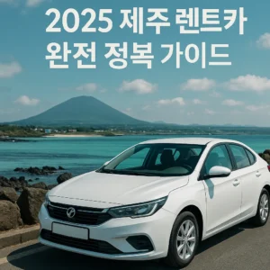 2025년 제주도 렌트카 완전 정복! 예약부터 보험, 사고 대처까지